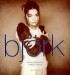 Front cover - Human behaviour - Björk - 12inch - Island - 2348 (France)