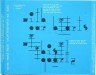 Inlay - Crystalline - Bjrk - CD - One Little Indian - 1123 tp 7 cda (UK)