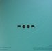 Back cover - Biophilia remix series 8 - Bjrk - 12inch - One Little Indian - 1176TP12 (UK)