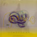 Back cover in acetat - Vulnicura - Björk - 12inch - One Little Indian - tplp 1231 (UK)