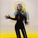 Front cover - Vulnicura - Björk - 12inch - One Little Indian - tplp 1231 (UK)