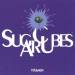 Vitamin - Sugarcubes CD cover