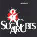 Walkabout - Sugarcubes - promo CD cover US